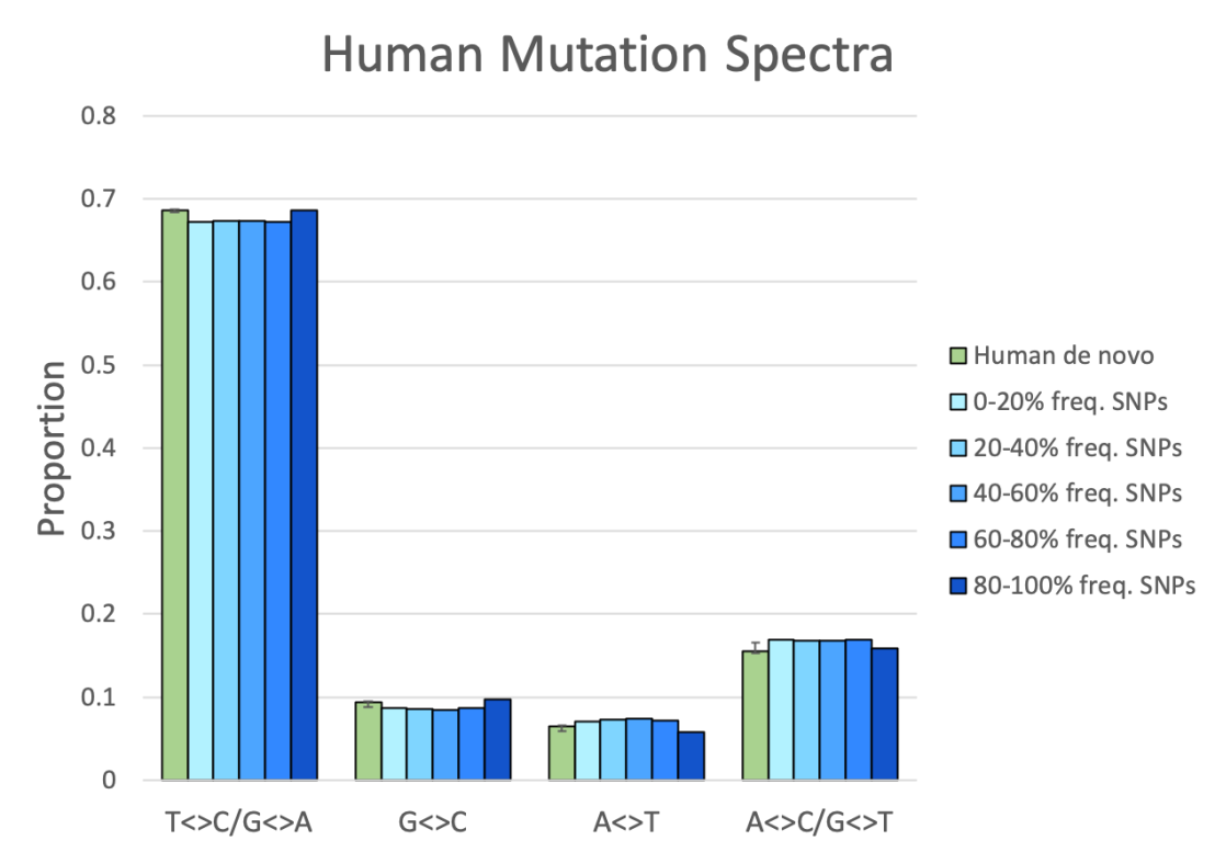 human mutaion spectra final.png