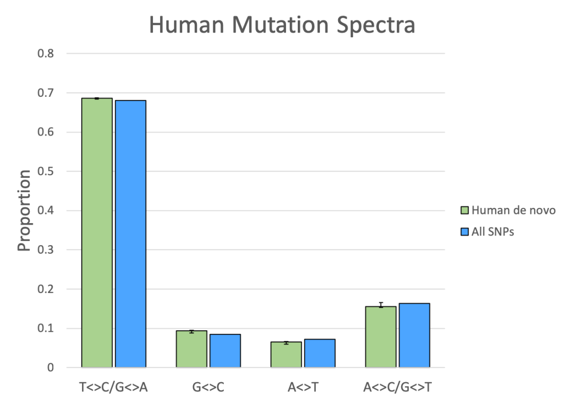 human mutation spectra 1.png